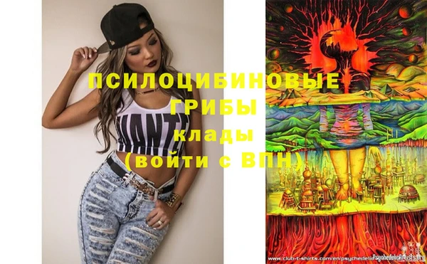 винт Няндома