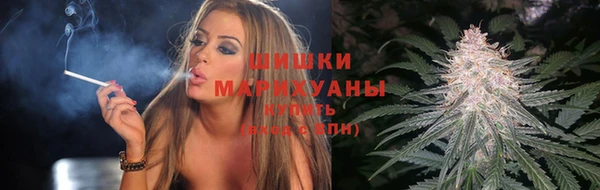 шишки Нягань