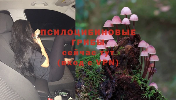 винт Няндома