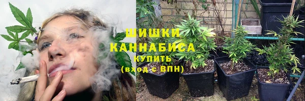 МДПВ Нязепетровск