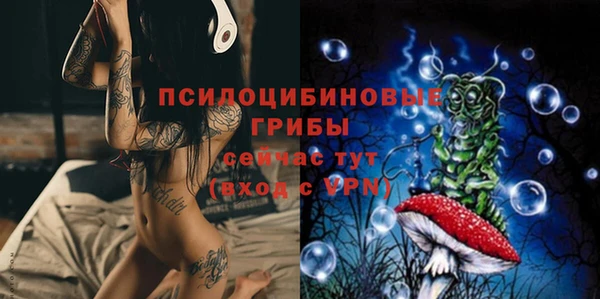 винт Няндома