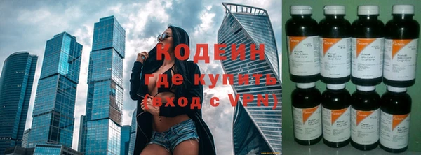 шишки Нягань