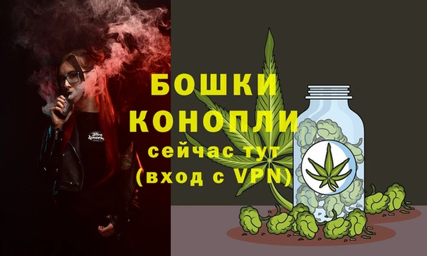 шишки Нягань