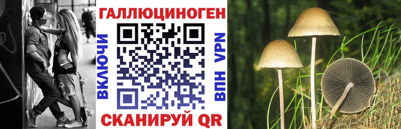 Псилоцибиновые грибы Psilocybine cubensis нарко площадка телеграм Котельниково
